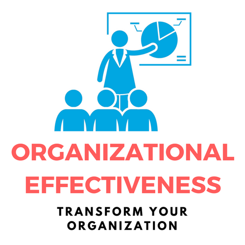 Strategy and Effectiveness Transform Your Organization